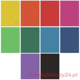 Zeszyt A5 80 Kratka Rainbow 9583147 Herlitz..