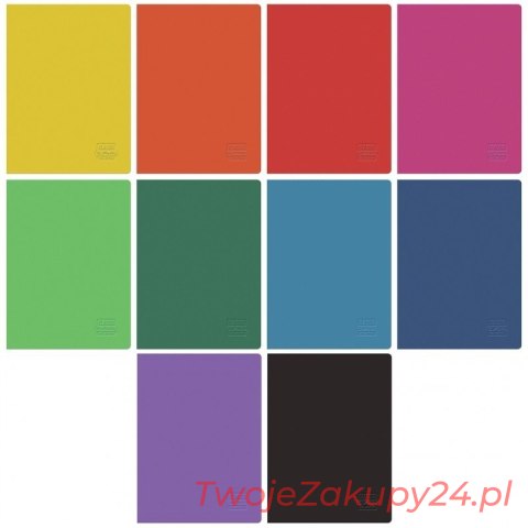 Zeszyt A5 80 Kratka Rainbow 9583147 Herlitz..