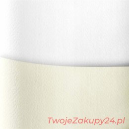 Karton Ozdobny Sawanna Biały 20 Szt/Opak 200G