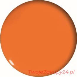 Magnesy Do Tablic Pomarańczowe 30Mm/5 Gm401-P5 Tet