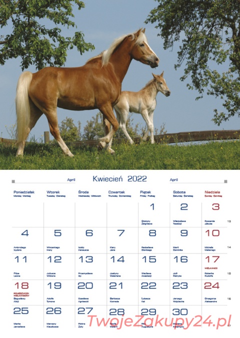 Kal.Ścienny Tw-10-6