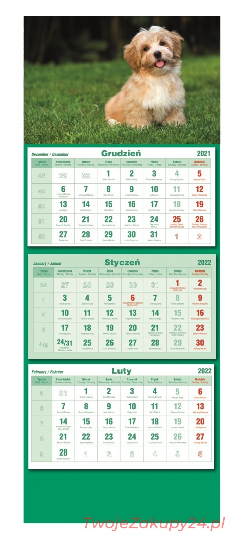 Kalendarz Trój.T-105T-11