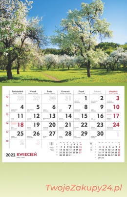 Terminarz Ścienny 2019 T107S-6