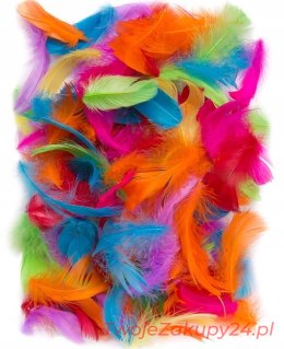 Piórka Do Dekoracji Wypełnienia Balonów Mix Kolor