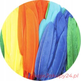 Piórka Lotki Dekoracyjne Mix Kolorowe Ozdobne X60