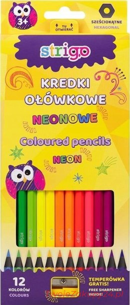 Kredki Ołówkowe Szkolne Neonowe 12 Kolor Strigo